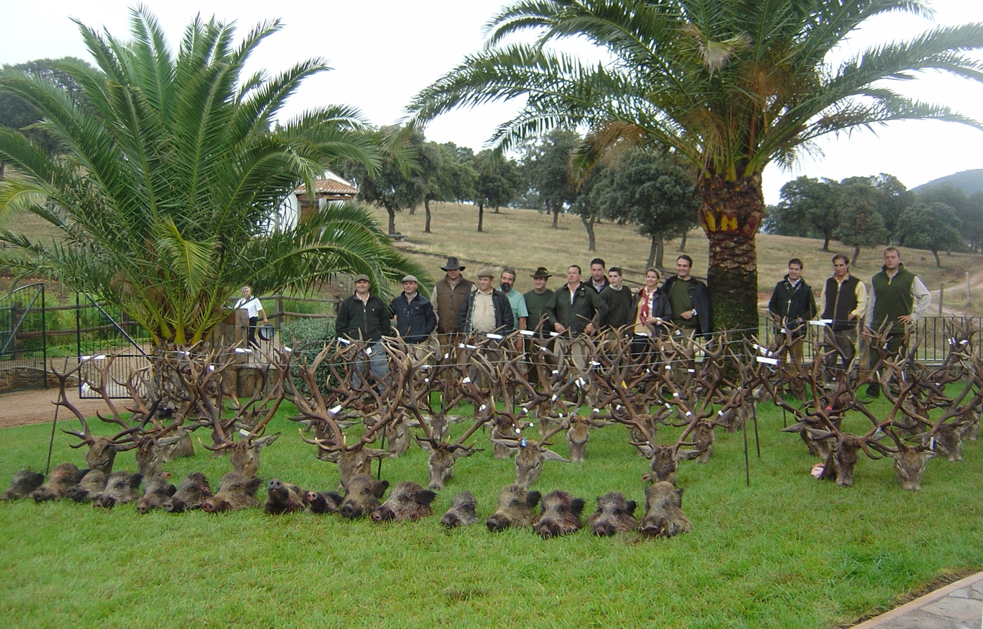 Hunting package montería. Trophies